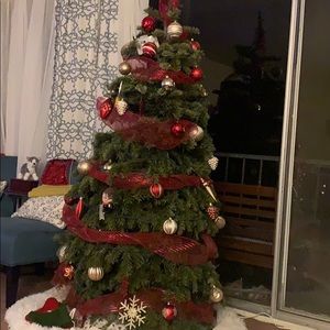 Meet your Posher, Carolina